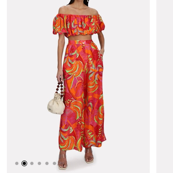 Farm Rio ***BOTH*** Fruit brush crop top NWT and pant NWOT - Picture 2 of 8